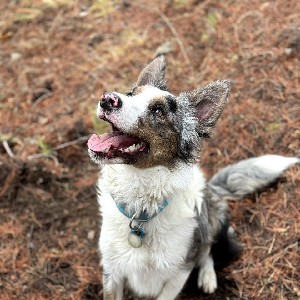 Javier López Fernández