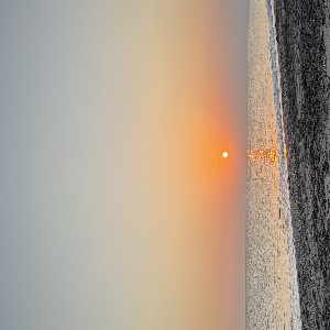 Inés Almenara Fernández