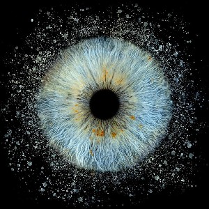 Arantxa Sanchez Valois