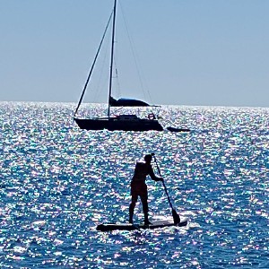 RAUL SANCHEZ GONZALEZ