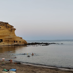 María Carmen Cantón Romera